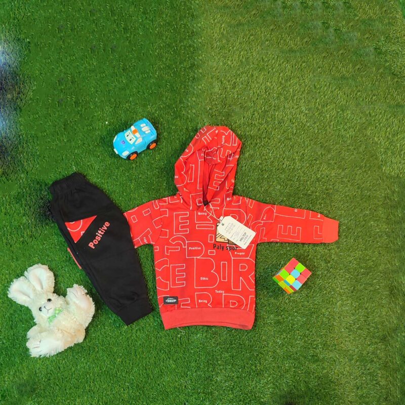 Premium Kids’ Hoodie Set (6 Months–1 Year)
