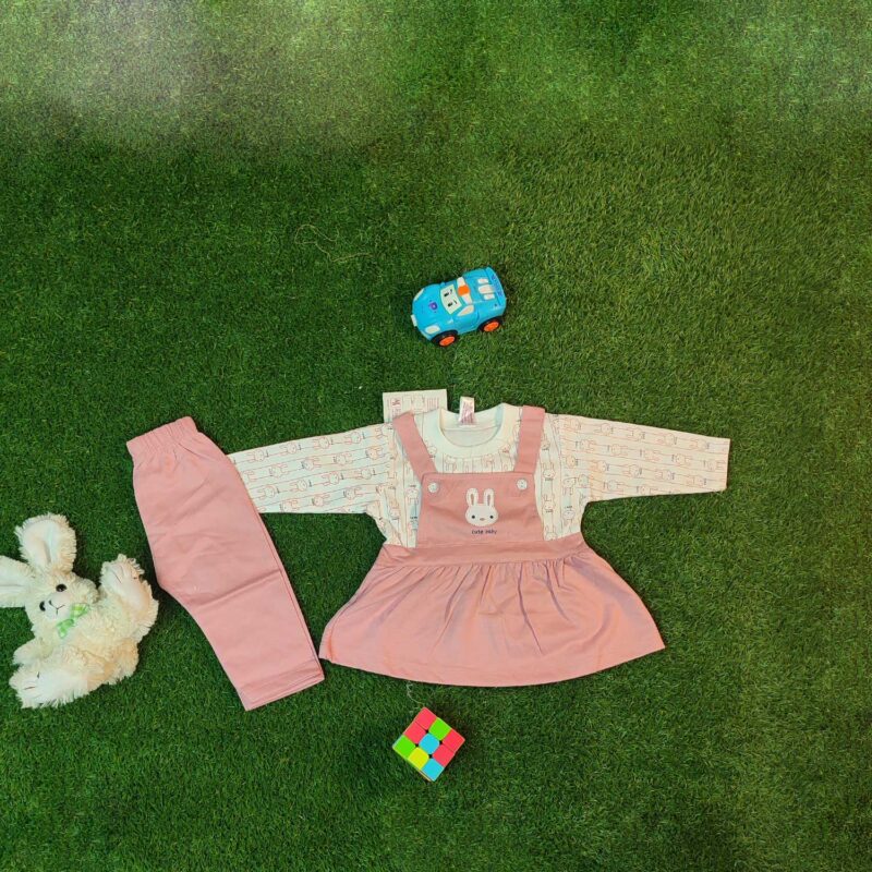 Premium Baby Girl Winter Dress (6m–1 year )